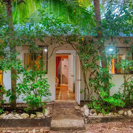 Jungles Edge Hotel, Jiu Jitsu, Muay Thai Retreat Center