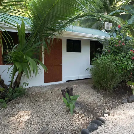 Jungles Edge Hotel, Jiu Jitsu, Muay Thai Retreat Center