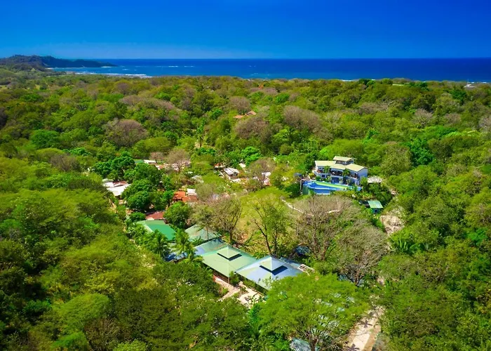 Jungles Edge Hotel, Jiu Jitsu, Muay Thai Retreat Center 3*