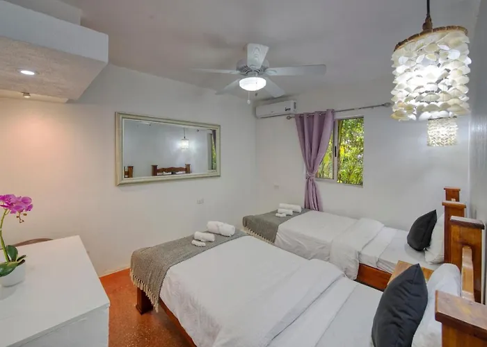 Jungles Edge Hotel, Jiu Jitsu, Muay Thai Retreat Center Hotel 3*