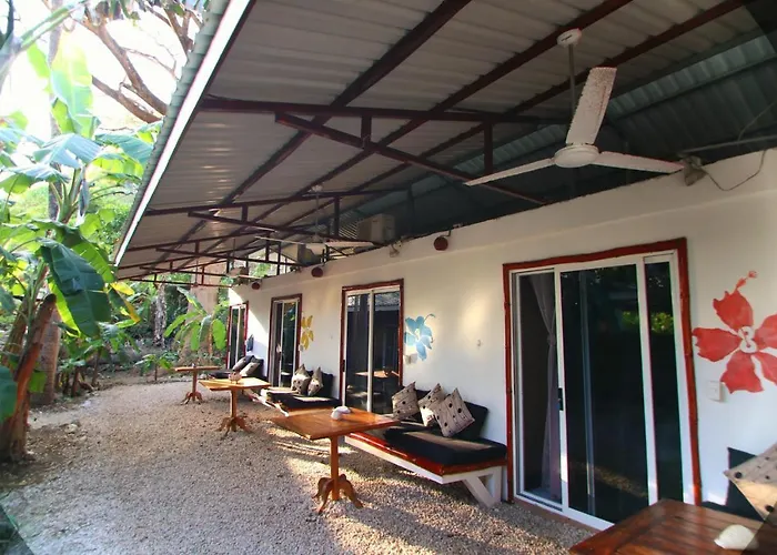 Jungles Edge Hotel, Jiu Jitsu, Muay Thai Retreat Center Nosara