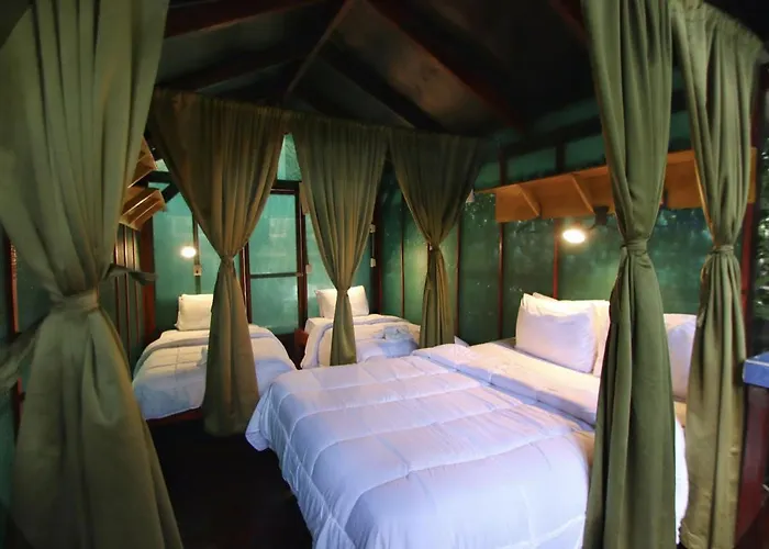 Jungles Edge Hotel, Jiu Jitsu, Muay Thai Retreat Center Hotel 3*