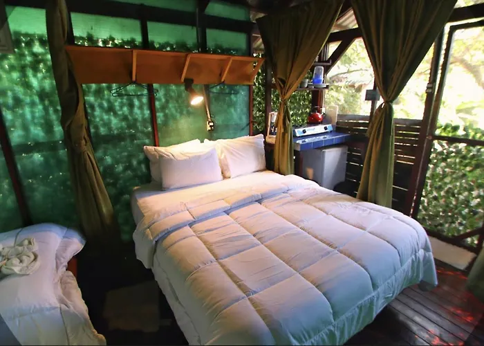 Hotel Jungles Edge Hotel, Jiu Jitsu, Muay Thai Retreat Center