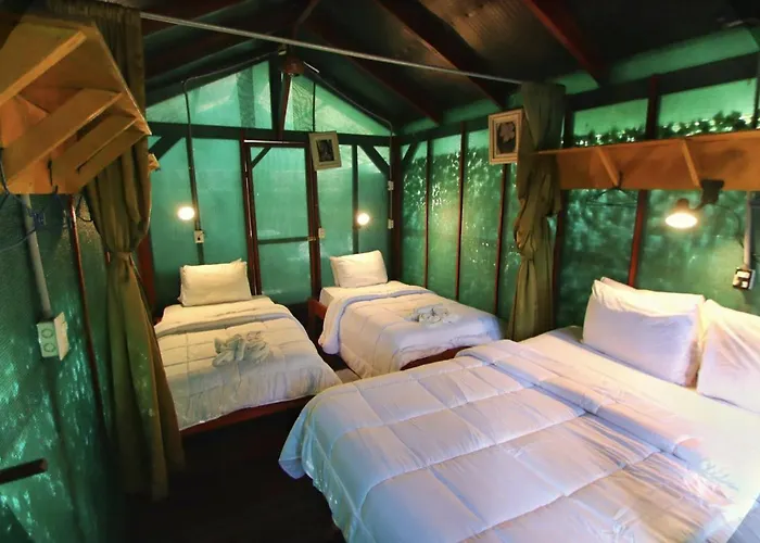 Hotel Jungles Edge Hotel, Jiu Jitsu, Muay Thai Retreat Center