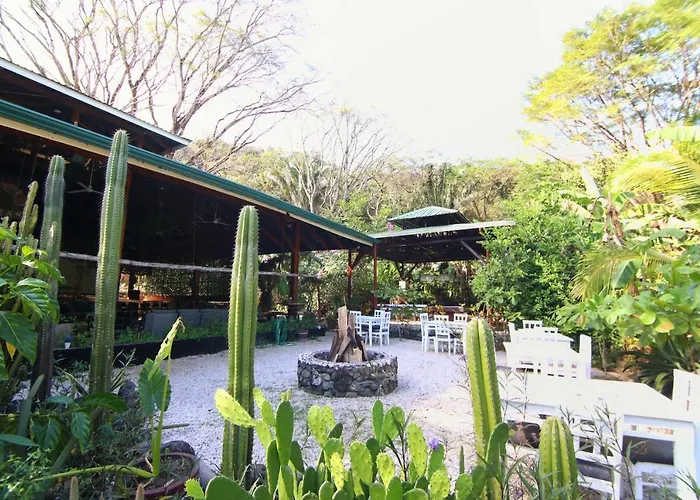 Hotel Jungles Edge Hotel, Jiu Jitsu, Muay Thai Retreat Center 3*
