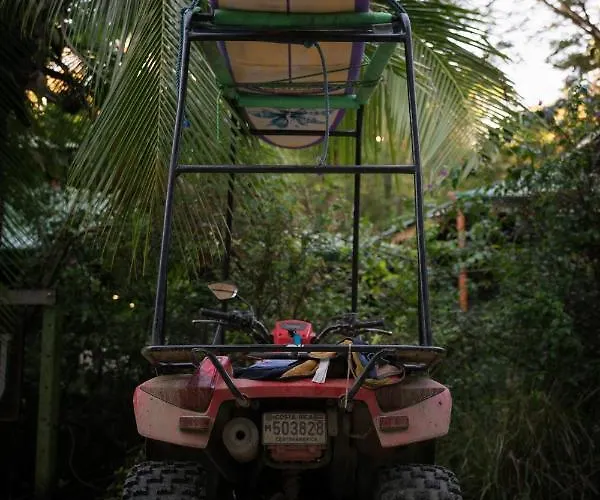 Jungles Edge Hotel, Jiu Jitsu, Muay Thai Retreat Center 3* Nosara