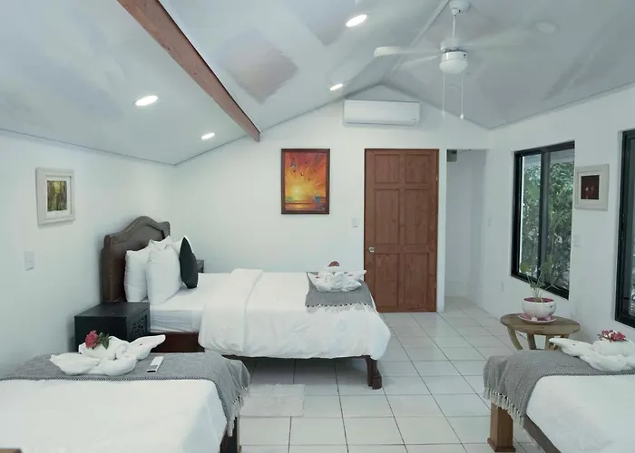 Hotel Jungles Edge Hotel, Jiu Jitsu, Muay Thai Retreat Center 3*