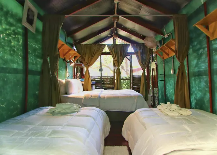 Jungles Edge Hotel, Jiu Jitsu, Muay Thai Retreat Center Nosara