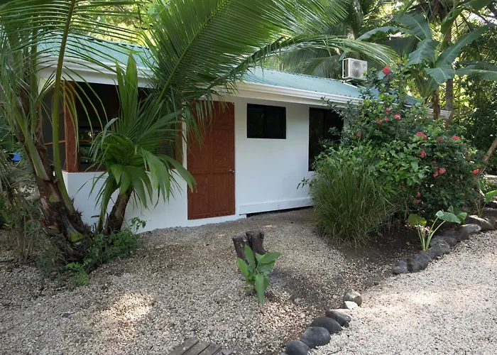 Jungles Edge Hotel, Jiu Jitsu, Muay Thai Retreat Center 3* Nosara