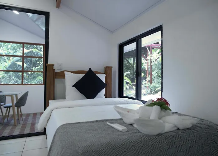 Hotel Jungles Edge Hotel, Jiu Jitsu, Muay Thai Retreat Center