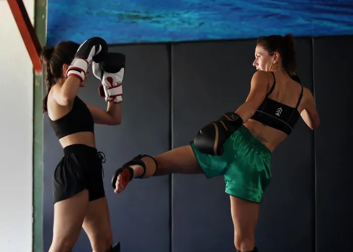 Jungles Edge Hotel, Jiu Jitsu, Muay Thai Retreat Center Hotel Nosara