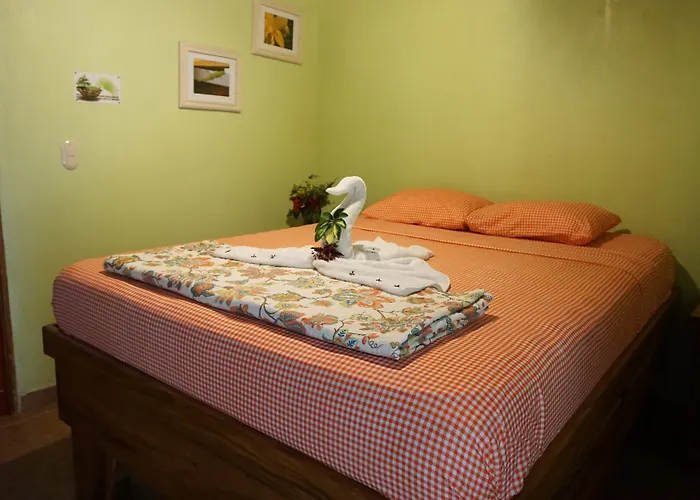 Jungles Edge Hotel, Jiu Jitsu, Muay Thai Retreat Center Hotel