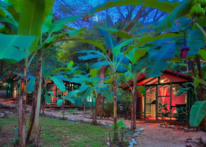 Jungles Edge Hotel, Jiu Jitsu, Muay Thai Retreat Center Nosara