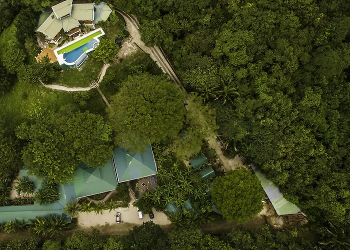 Jungles Edge Hotel, Jiu Jitsu, Muay Thai Retreat Center