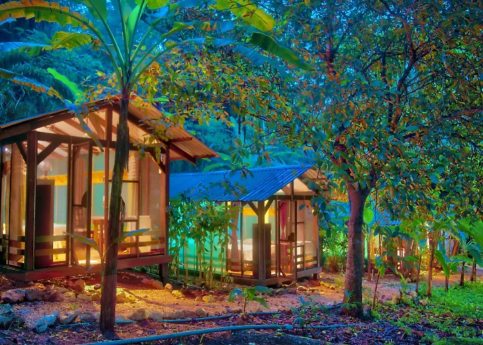 Hotel Jungles Edge Hotel, Jiu Jitsu, Muay Thai Retreat Center 3*