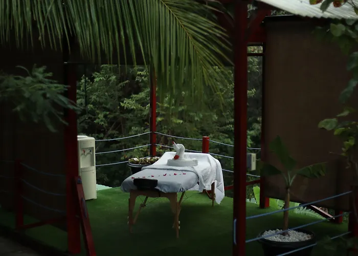 Hotel Jungles Edge Hotel, Jiu Jitsu, Muay Thai Retreat Center 3*