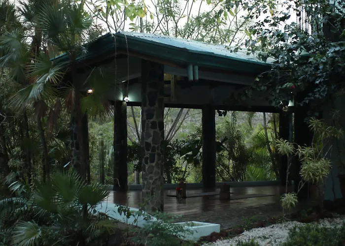 Jungles Edge Hotel, Jiu Jitsu, Muay Thai Retreat Center Hotel 3*