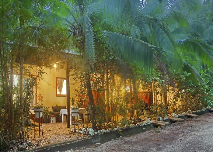 Jungles Edge Hotel, Jiu Jitsu, Muay Thai Retreat Center Hotel 3*