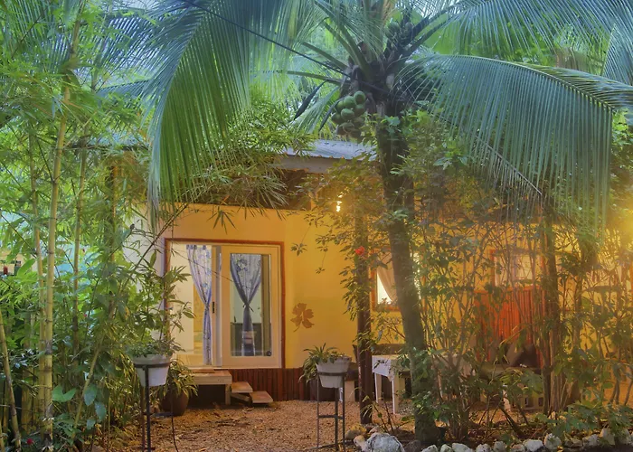 Jungles Edge Hotel, Jiu Jitsu, Muay Thai Retreat Center Hotel 3*