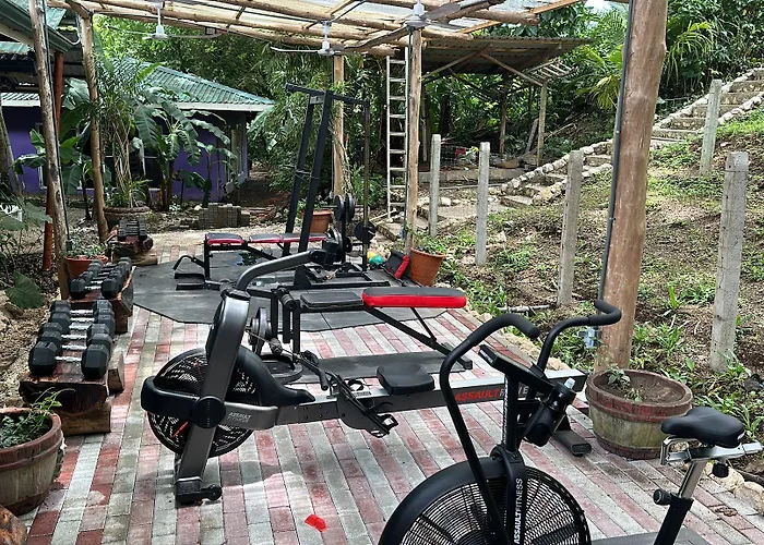 Hotel Jungles Edge Hotel, Jiu Jitsu, Muay Thai Retreat Center 3*